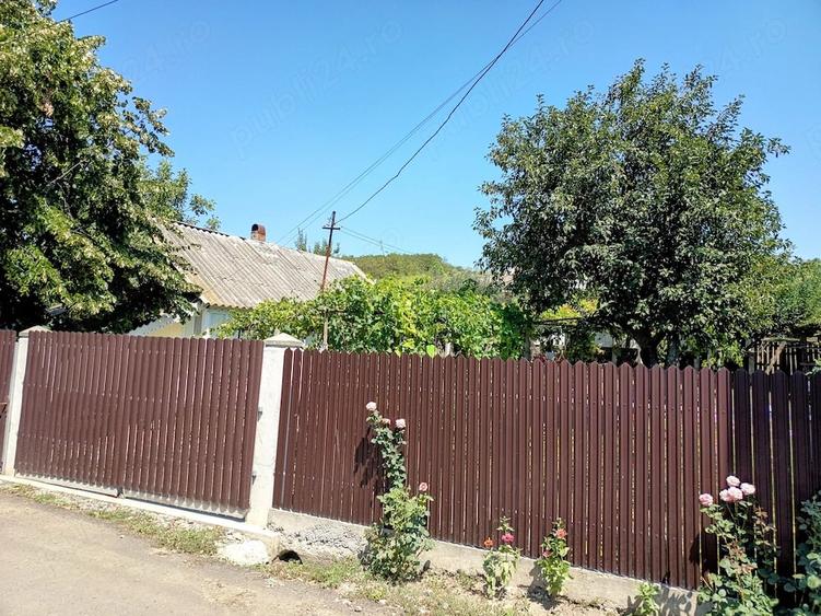 Casă cu 3 camere cu Teren 3116 Mp în Valea lui Darie