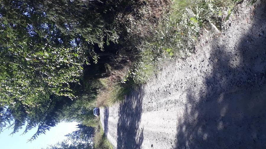 P.F., teren 22.500 mp la munte, Neagra Sarului, panorama, acte in regula. - 6