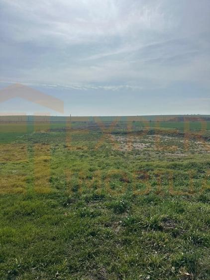 Teren Construcții intravilan de 10000 mp, în Valu lui Traian