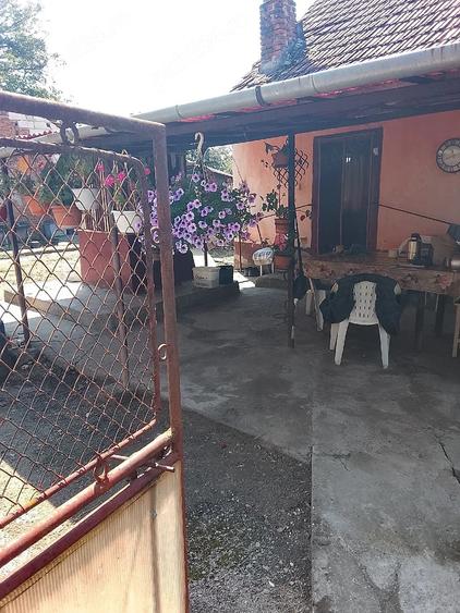 casa +gradina - 1