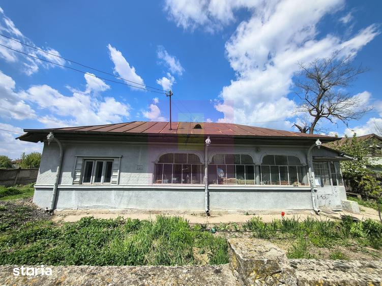 Teren de 975 mp, în Cernica