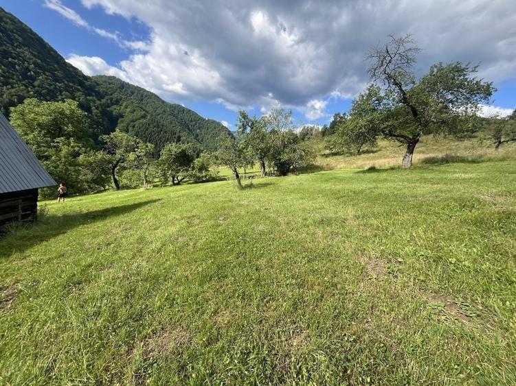 Teren de 5500 mp, în Râu Sadului