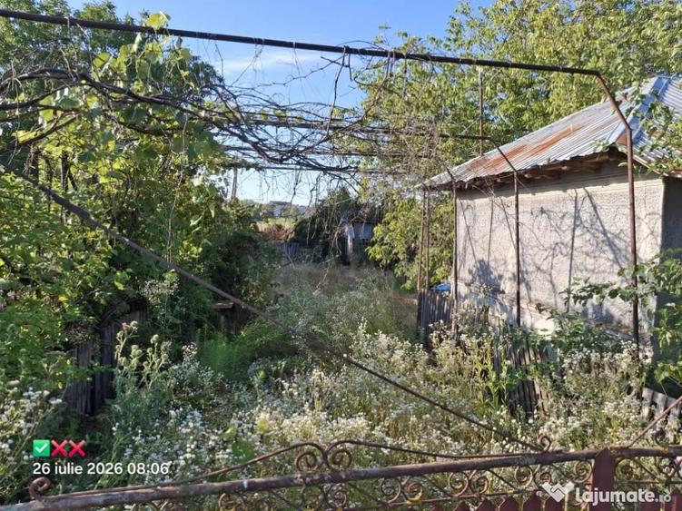 Teren de 1000 mp, în Vânătorii Mari