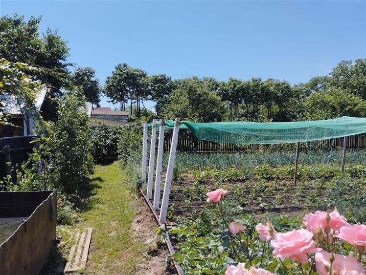 Vila, Republicii, Bacau - 7