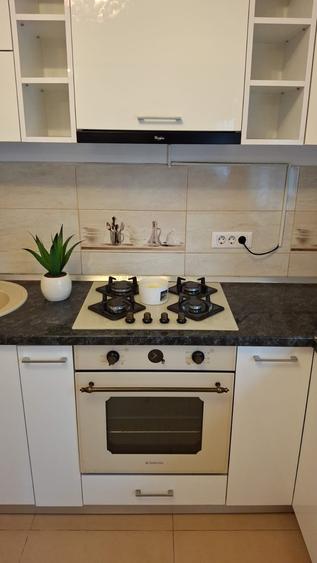 CASA LA CHEIE ! GATA DE MUTARE - 6