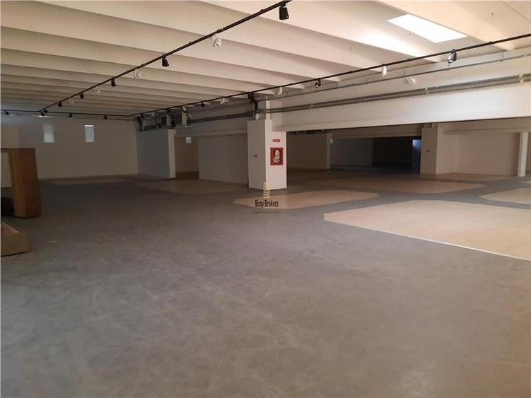 Spatii Comerciale - 500 mp - Showroom - Comert - 3