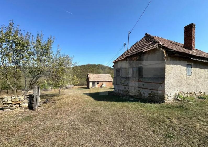 Teren intravilan de vanzare 14000mp,ideal pentru investitie, - 1