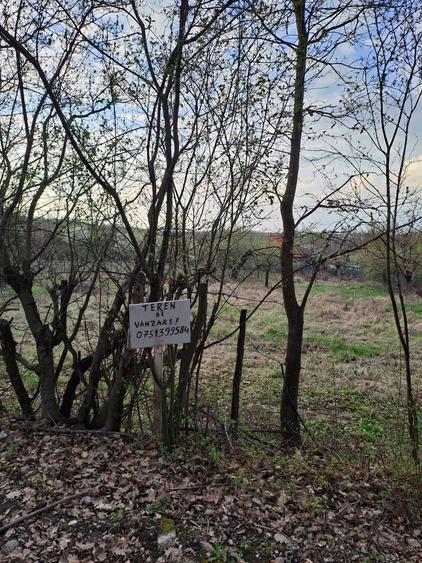 Vand teren intravilan Gheorghe Doja - 7