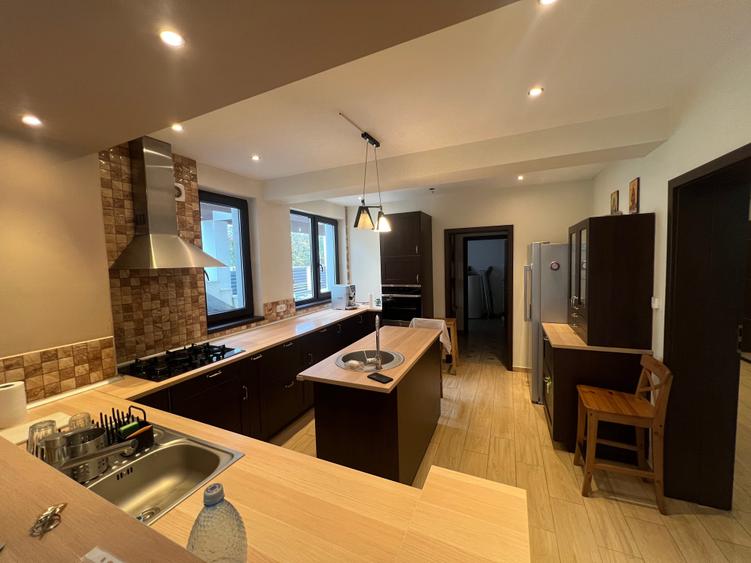 Dimitrie Leonida Metrou - 26