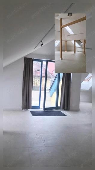 Inchiriere casa ,vila Andrei Muresanu D+P+M 480 MP teren 960 mp 5 loc parcare ,7000 eur +tva - 5