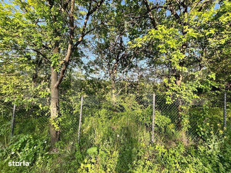 Teren intravilan ,cu vegetatie, 2700 mp, zona Siret - 6