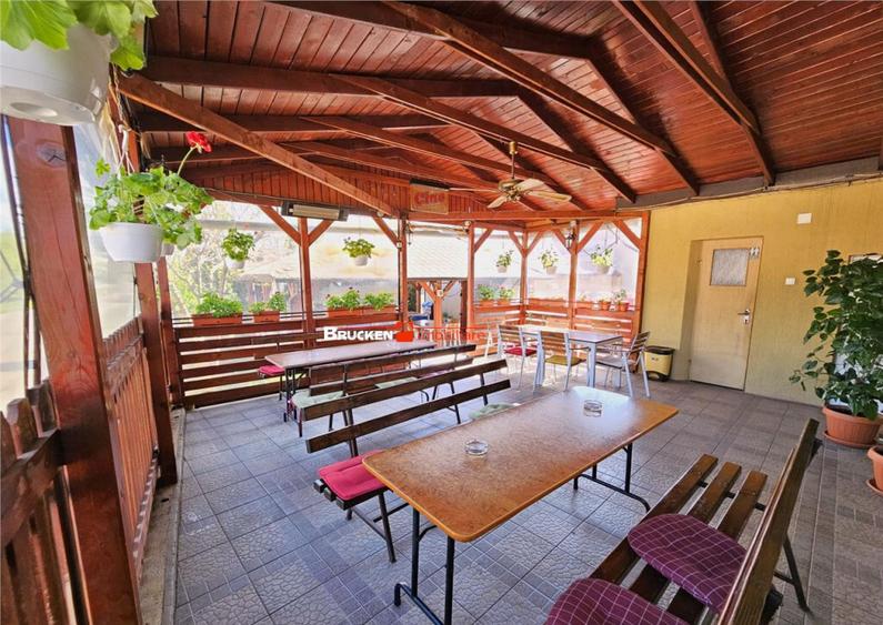 PROPRIETATE CU AFACERE FUNCTIONALA DE - PETREU, LANGA MARGH - 6