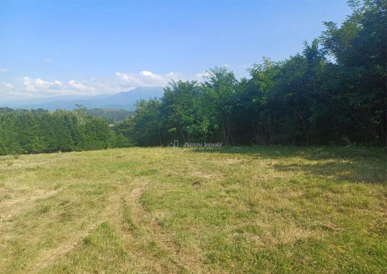 Teren 1344 mp de cu autorizatie de constructie str Cindrel - 6