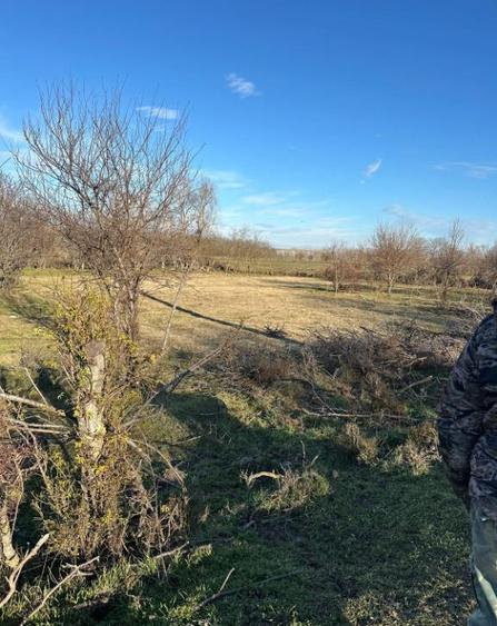 Teren- intravilan in DELTA- loc BALTENII DE JOS - 23