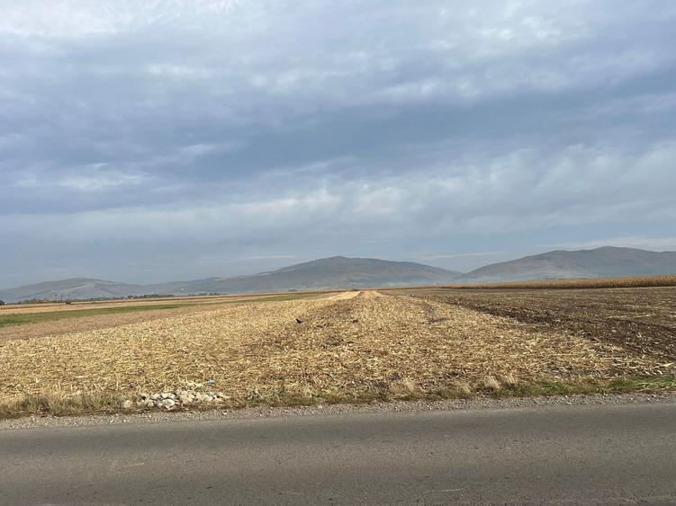 Teren agricol extravilan de 10000 mp, în Prejmer