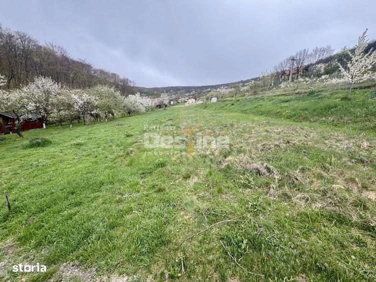 Teren intravilan Deva- Roci - 4