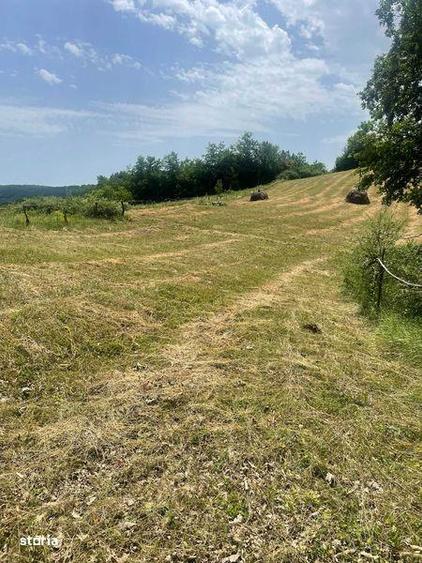 Teren extravilan de vanzare -faneata - 5