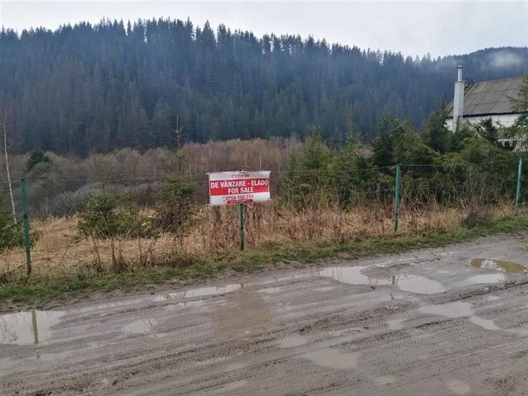 Teren intravilan Gheorgheni (str. Szarvas) - 1