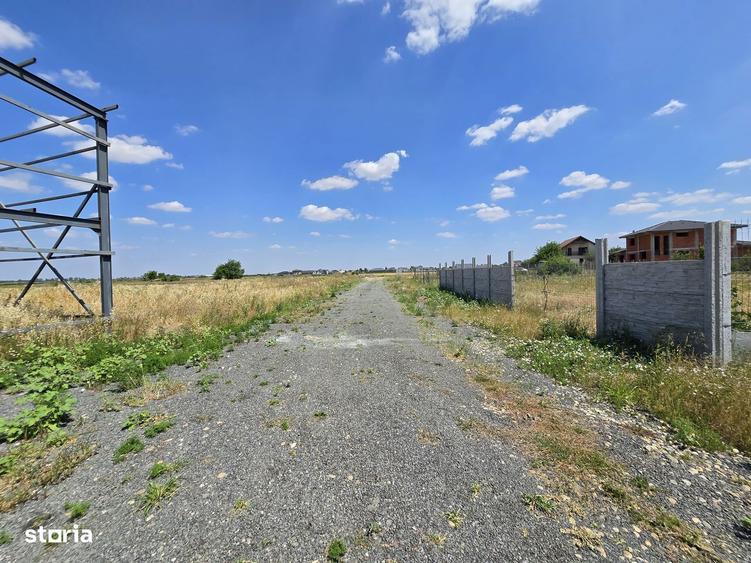 Teren intravilan 564 mp Zimandcuz - 1