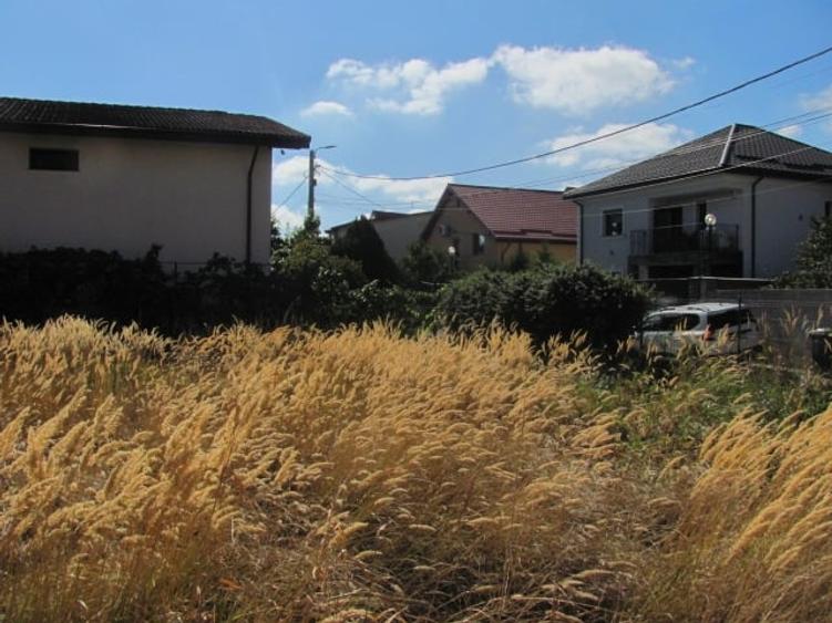 Bragadiru - Zona Haliu, Stradal - 3