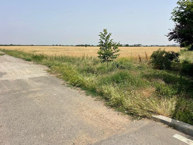 VÂNZARE TEREN - OTOPENI, STRADA CARPAȚI.OPORTUNITATE!!! - 4