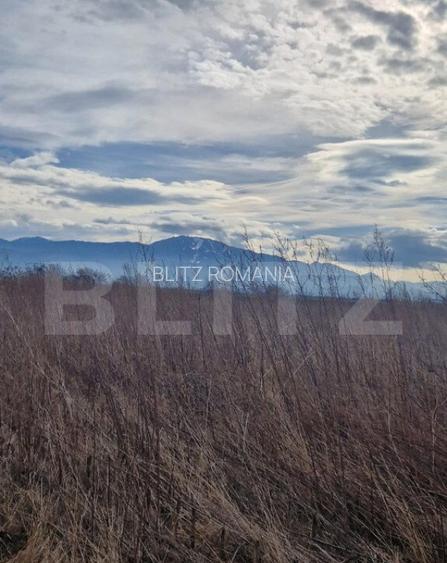 Teren de vanzare 1500 mp - intravilan Codlea - 30 euro mp