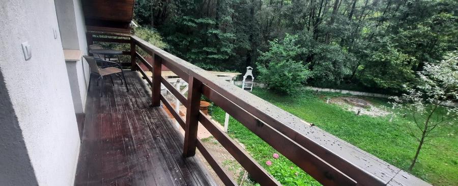 Casa pt investitie in Hunedoara - sat Govajdia - 10