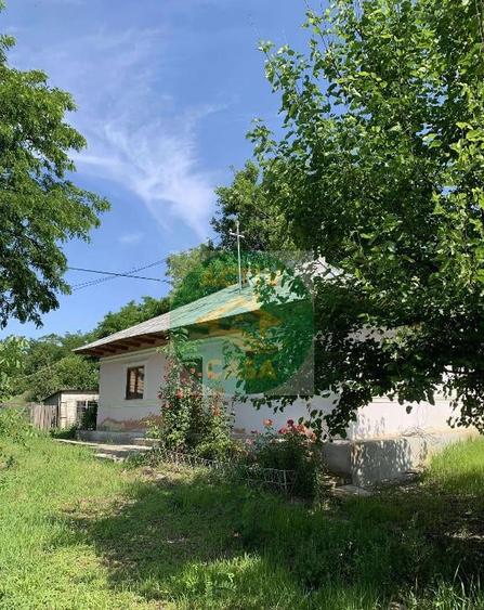 Casa de vanzare, zona Ion Creanga - 8