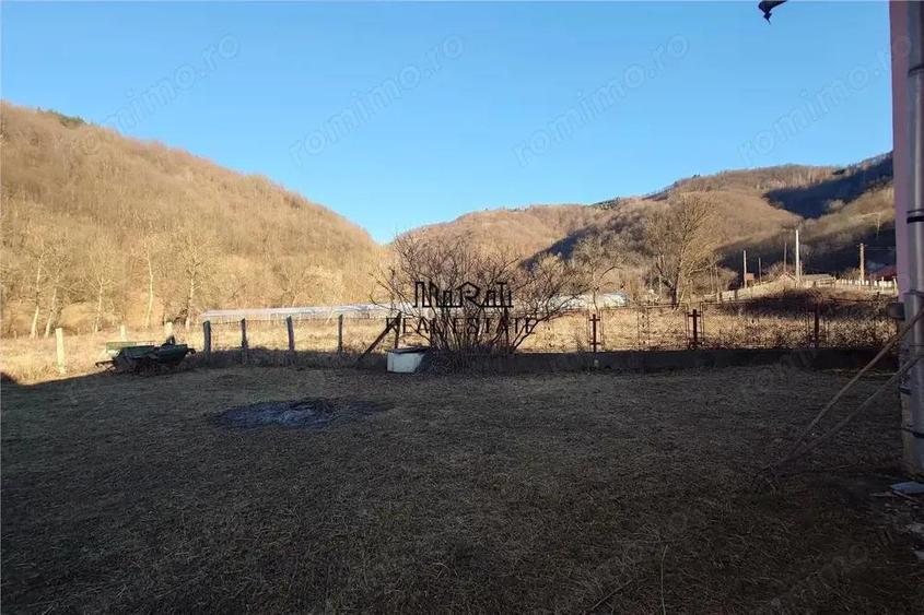 Proprietate in Apuseni - fosta pizzerie, ideala pentru afacere sau locuinta - 9