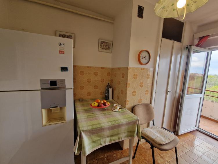 Pe cel mai frumos bulevard din oraș CORNELIU COPOSU-terasa cu vedere spre Bega - 27