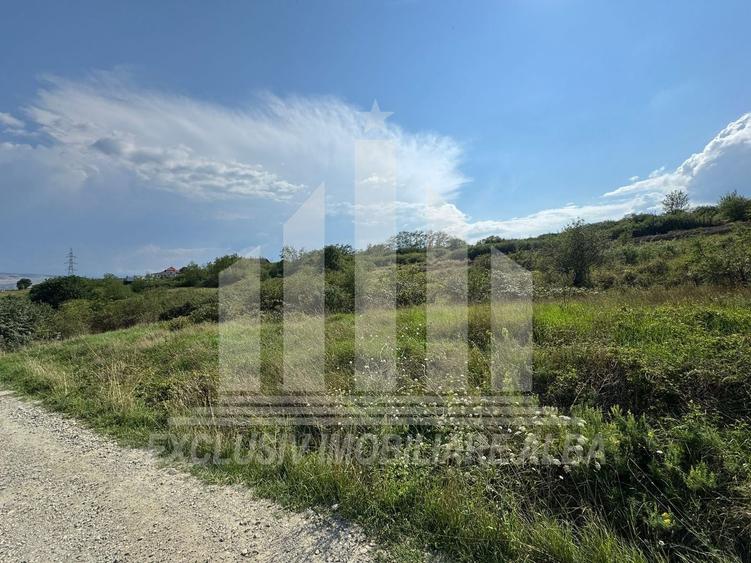 Teren intravilan | 4665 mp | 35 ml deschidere | Cetate - zona Schit - 2
