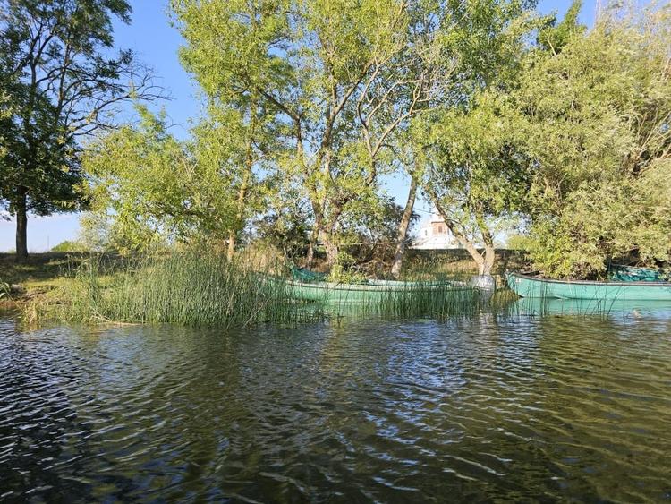 Teren intravilan in Delta Dunarii, C.A. Rosetti - Cardon - 5