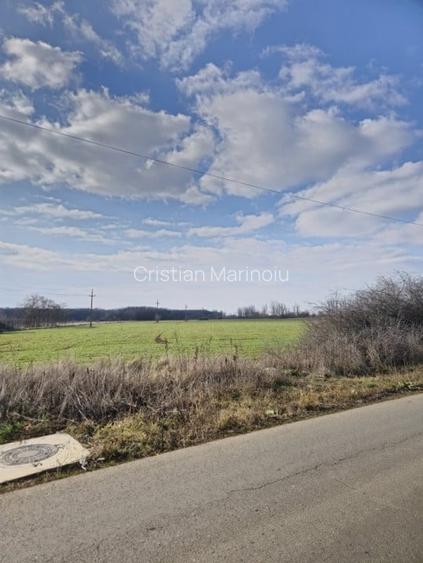 Teren de vanzare in Silistea Snagovului - 13.800 mp.