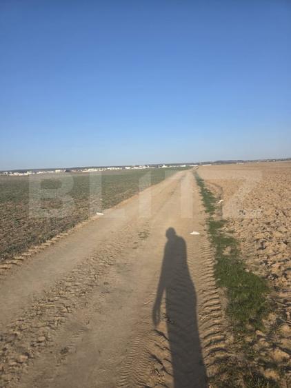 Teren intravilan, 5000 mp, zona Selgros, Preajba - 2