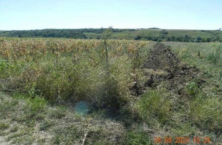 Teren extravilan arabil, situat in Oravita, Jud Caras-Sev... - 4