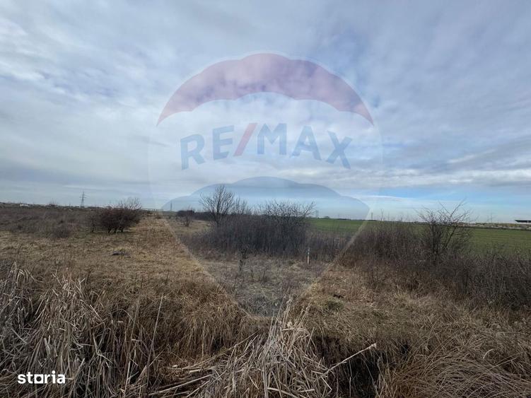 Teren intravilan 13800 mp - Centura de Nord Arad - 2