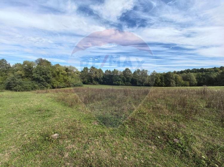 Teren 5,600mp Finteusu Mic / Strada Principala - 9