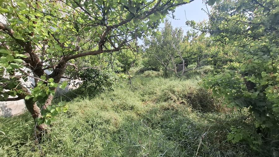 Kamsas - teren 1150 mp cu deschidere 30 ml - 2