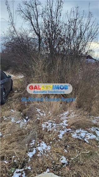 Vindem teren intravilan 3500 mp Smeura - 6