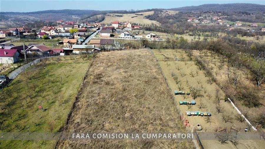 CAZANESTI, TEREN 3336mp - DESCHIDERE 27m - 12