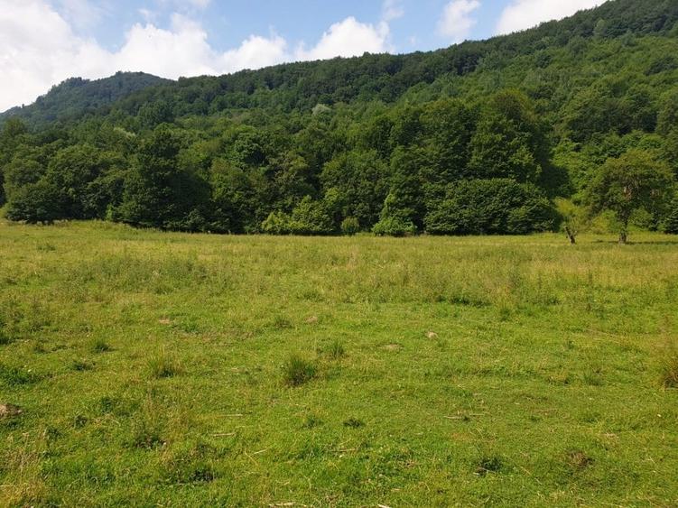 Oportunitate! -teren în zona  Pârâul Rece, Brașov - 6