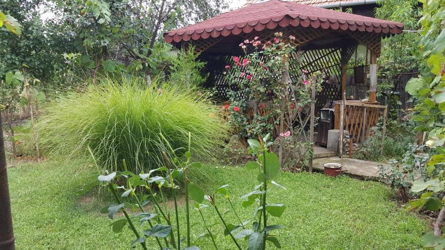 Casa mare in zona centrala Aluni? - 2