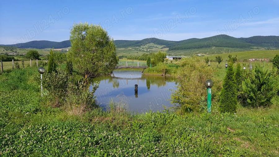 Vand casa de locuit, toate utilita?ile, lac de pescuit - 3