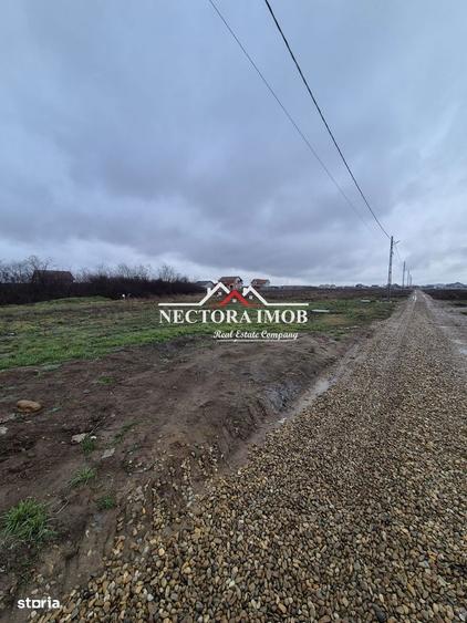 NECTORA IMOB-Teren Intravilan 501 mp, cu front 19ml, Nojorid,Utilitati - 2