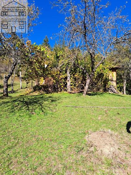 Teren extravilan in localitatea Bulz - 9