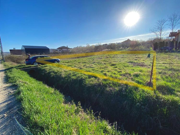 Teren Bucium, in spate la LIDL, 503 mp - 4