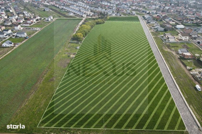 Teren | Berceni | Strada Campului - acces la asfalt - optiune rate - 2