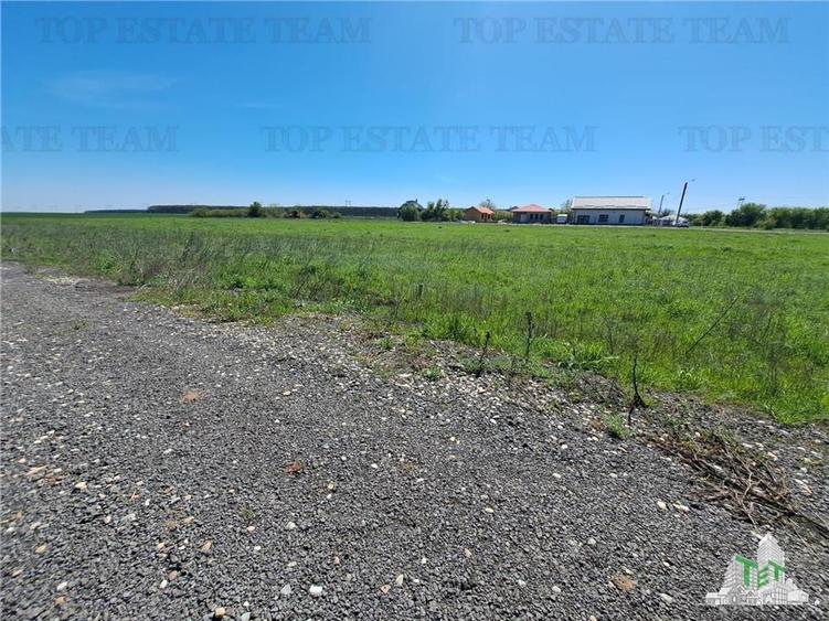 Loturi teren de vanzare Branesti/Vadu Anei - 1