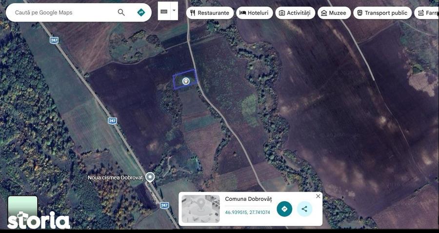 Teren 4.000mp Bucium-Dobrovat - 1