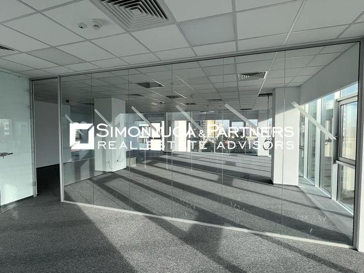 Birouri de inchiriat Brancusi - 1